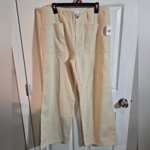 Altar'd State Cream Corduroy Men Pants